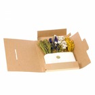 Kit diy bouquet fleurs séchées bleu/jaune - format letterbox