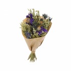 Bouquet de fleurs séchées l mix naturel/bleu