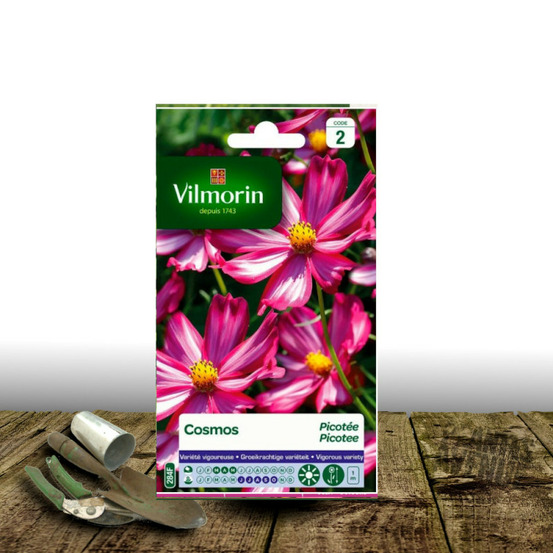 Graines de cosmos picotée - vilmorin sachet