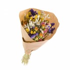 Bouquet de fleurs séchées xl mix couleur