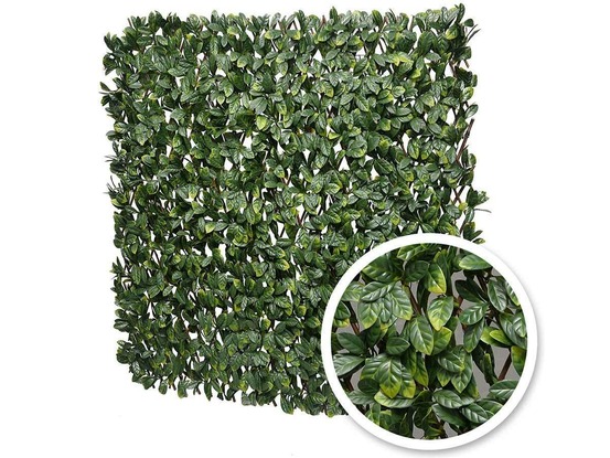 Treillis extensible laurier amande 2 m (2 treillis de 1 x 2 m)