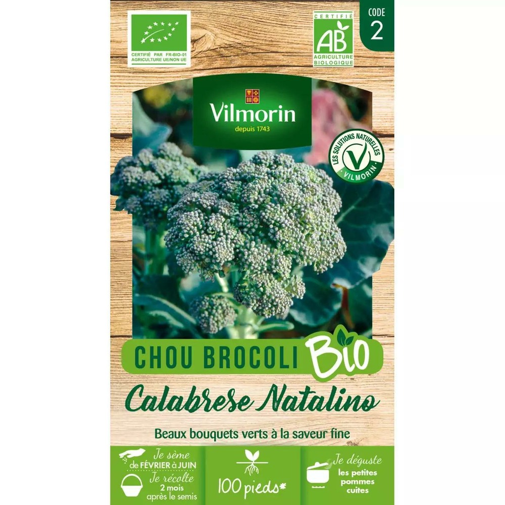 Chou Brocoli Calabrais à jets verts