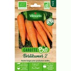 Sachet graines carotte berlikum 2 bio - daucus carota