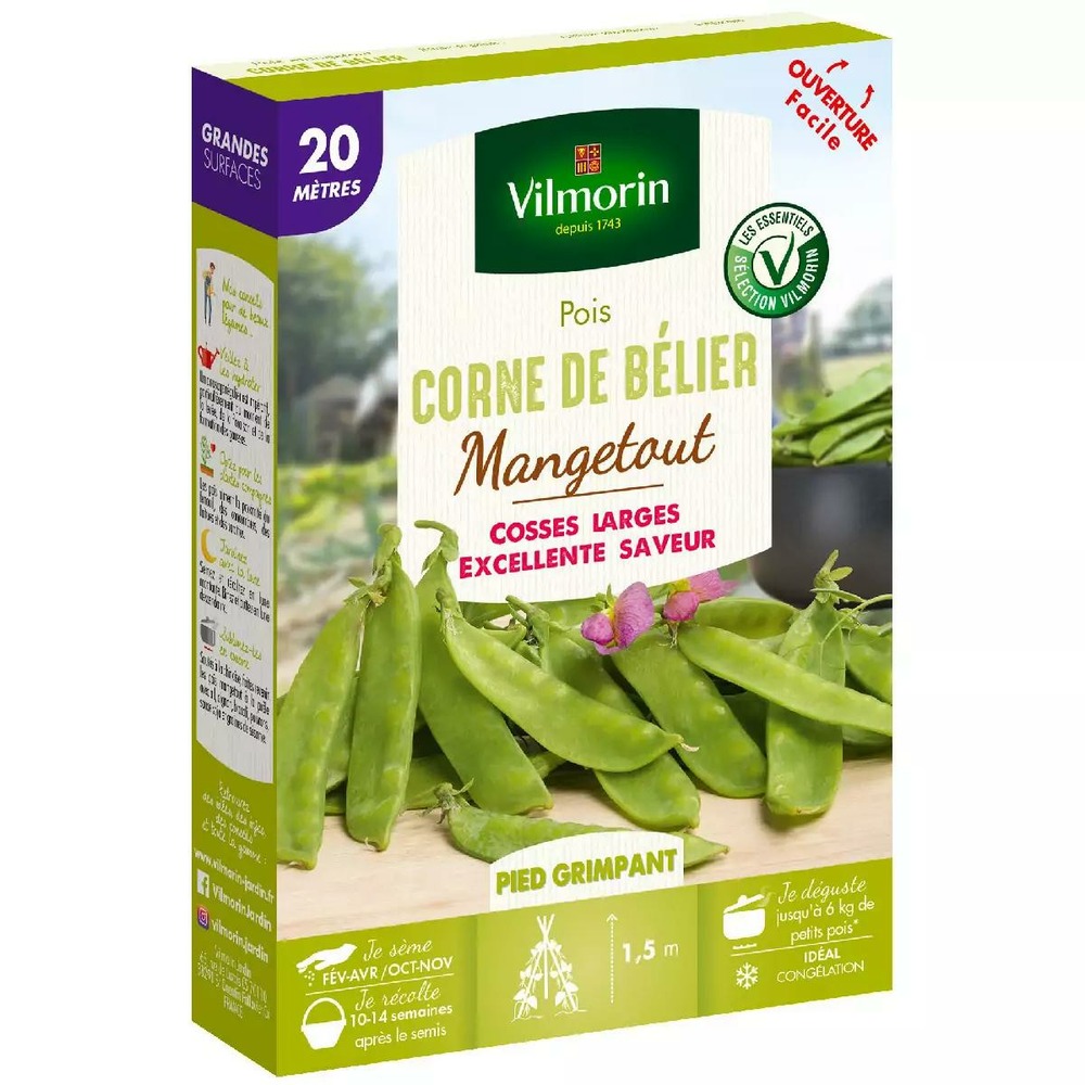 Graines de pois mangetout corne de bélier 20 mètres Truffaut — free download