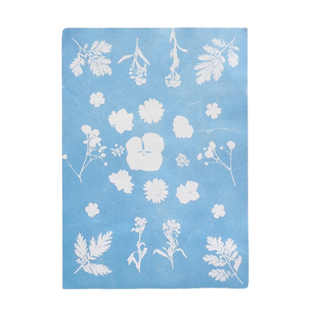 Diy papier photo solaire a5