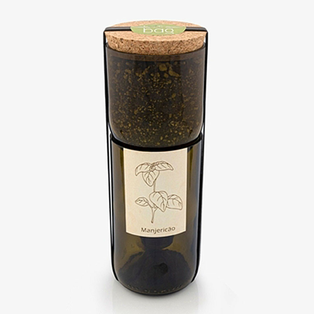 Kit irrigation basilic prêt à pousser