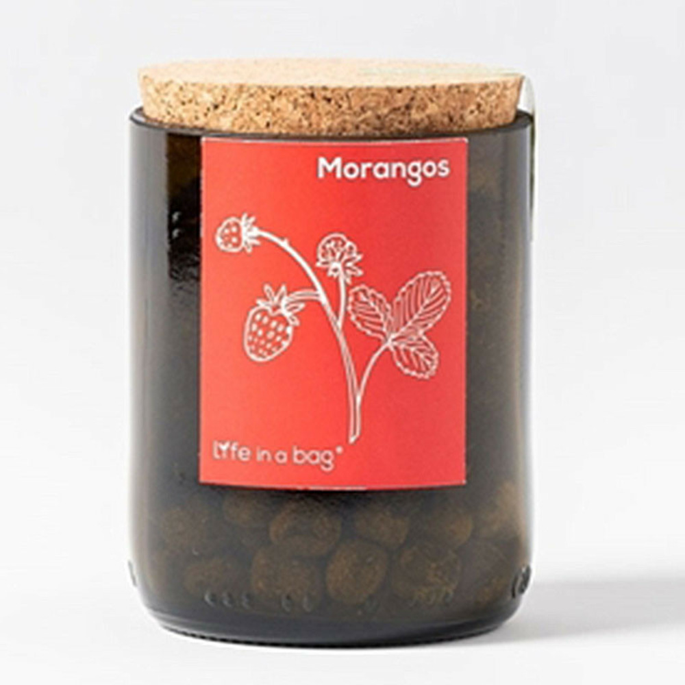 Kit bouteille prêt à pousser fraises