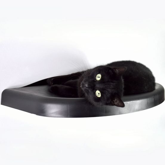 Cloud - etagère murale pour chat avec coussin, socle noir, 60x35x5cm