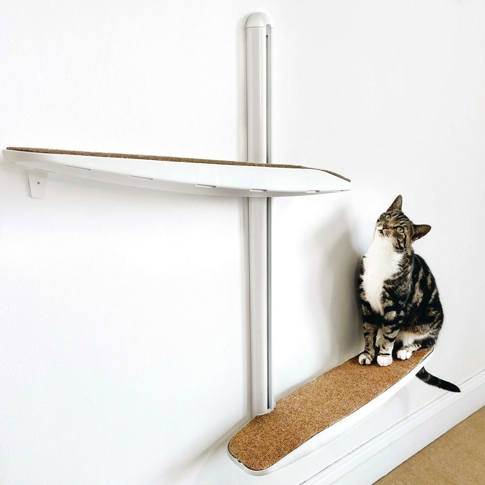 Acheter Décoration pour la maison bricolage Couple chats amovible mur Art  vinyle autocollant