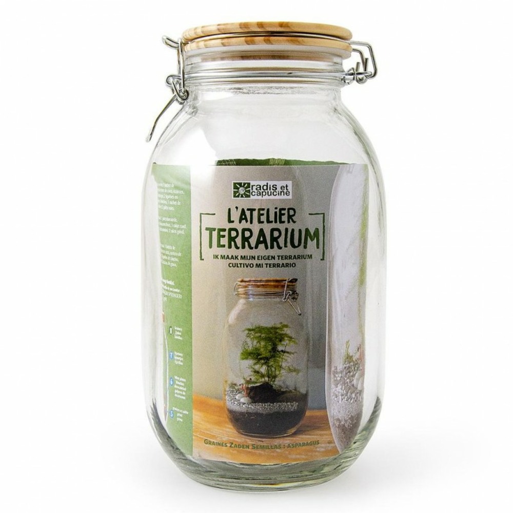 Terrarium à assembler soi-même avec graines d'asparagus à semer