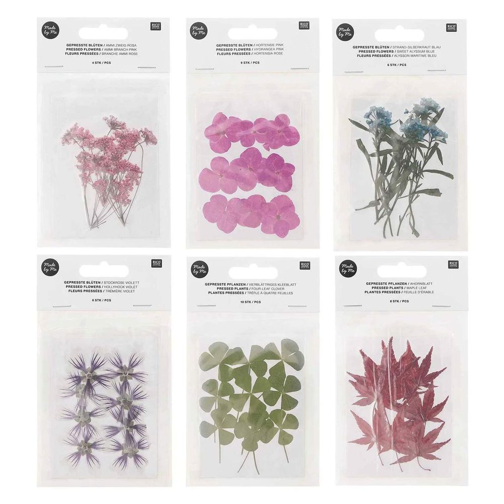 69 PCS Fleurs Séchées Et Feuilles Pressées Naturelles - Kit Pour Bricolage Et Décoration