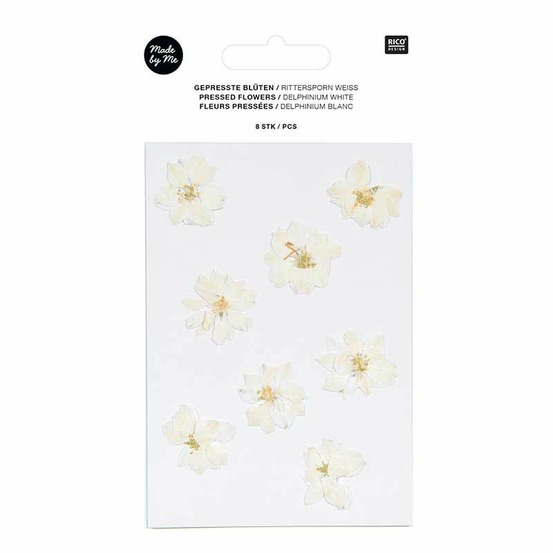 Delphiniums blancs séchés et pressés