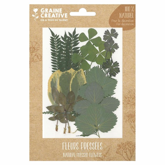 21 fleurs pressées - forêt 2