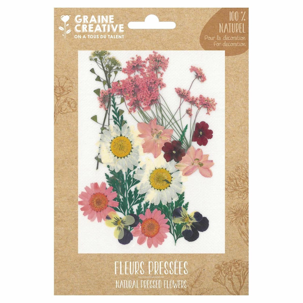 16 fleurs pressées - prairie rose