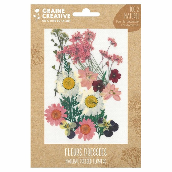 16 fleurs pressées - prairie rose
