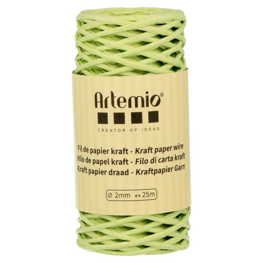 Fil de papier kraft vert anis 2mm x 25 m