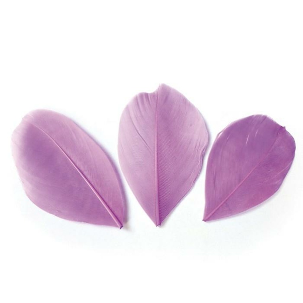 50 plumes coupées - mauve 6 cm 50 plumes coupées - mauve 6 cm