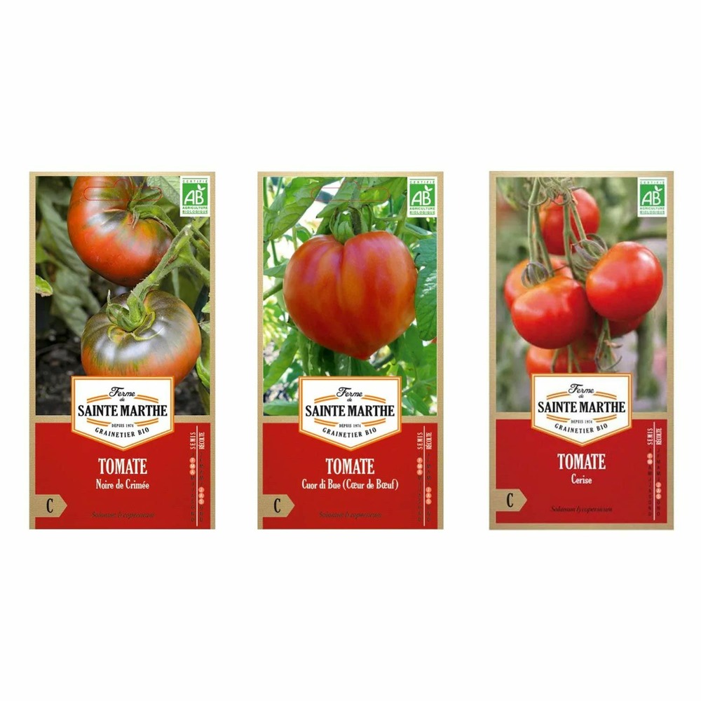 Graines de tomates à semer - tomate cerise-coeur de boeuf-noire de