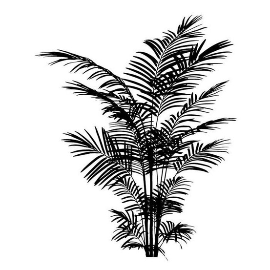 Tampon bois fougère 6 x 5 cm