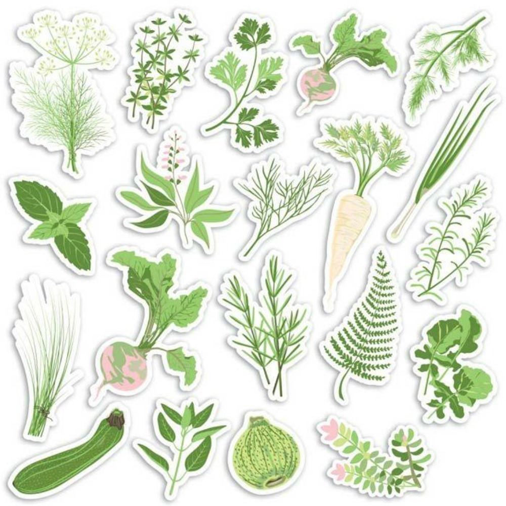 20 formes découpées - potager