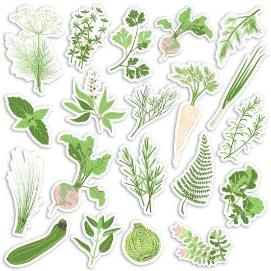 20 formes découpées - potager