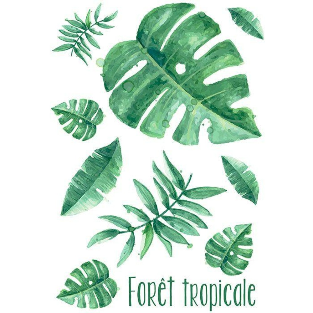 Transfert thermocollant a4 - forêt tropicale