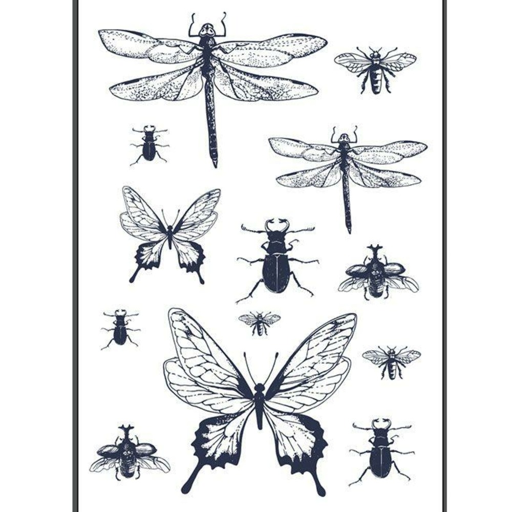 Transfert thermocollant noir & blanc - insectes