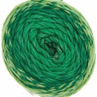 Pelote fil coton vert - ricorumi spin spin 50 g