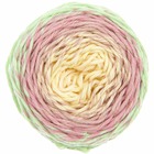Pelote fil coton icecream - ricorumi spin spin 50 g