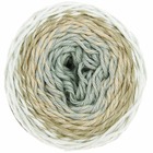 Pelote fil coton patine - ricorumi spin spin 50 g