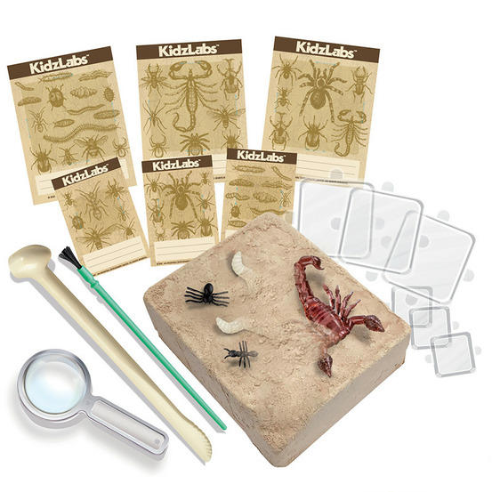 Kit découverte de la science - déterre les insectes