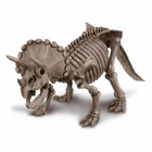 Coffret découverte de la science - déterre ton triceratops
