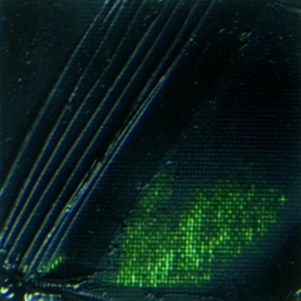 Peinture à l'huile fine xl studio - vert de vessie - 200 ml