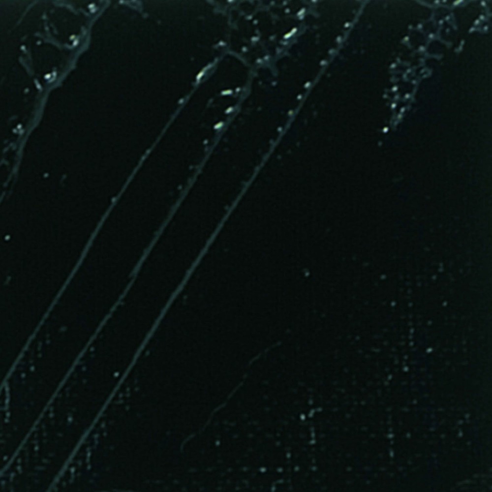 Peinture à l'huile fine xl studio - noir ivoire - 200 ml