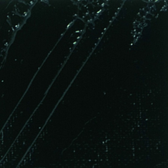 Peinture à l'huile fine xl studio - noir ivoire - 200 ml