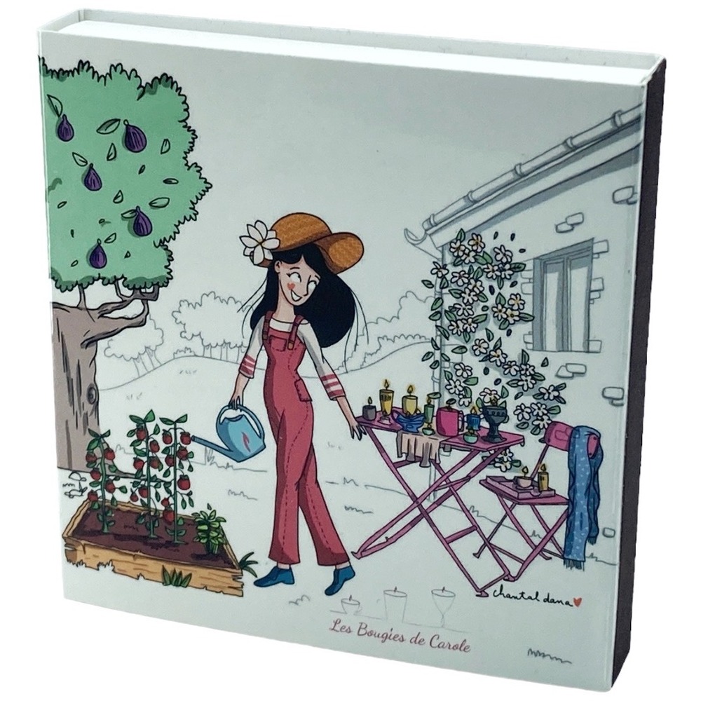 Boite de 60 allumettes - 10cm de longueur - illustration eclosion