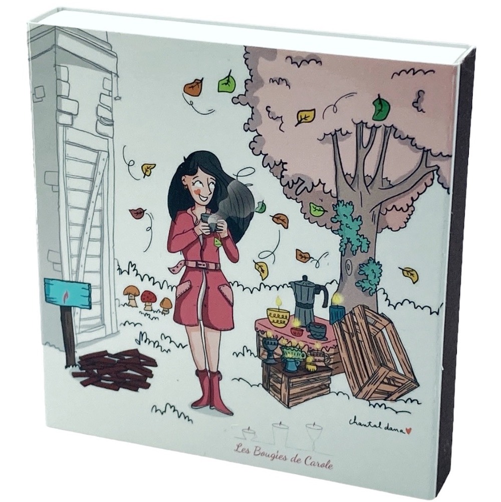 Boite de 60 allumettes - 10cm de longueur - illustration envolée