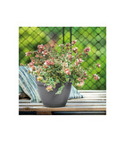 Pot de fleurs ninfea r anthracite a réserve d'eau - coloris gris anthracite - 30cm