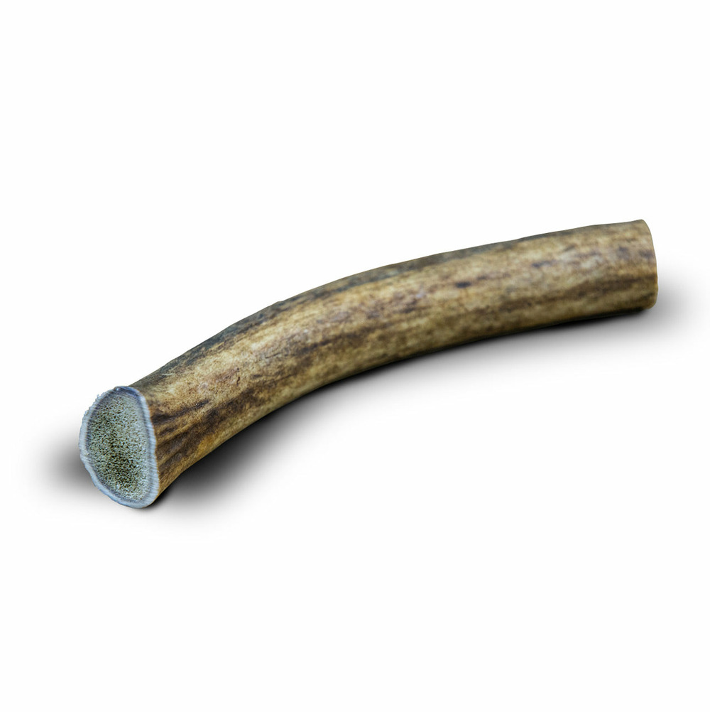 2x bois de cerf s entier (50/60gr) - chien <10kg - france croquettes