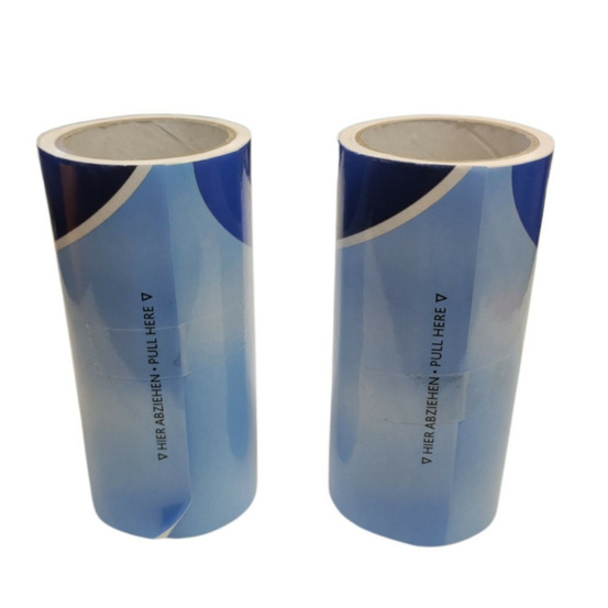 Recharge pour brosse roller 2 rouleaux 60 feuilles