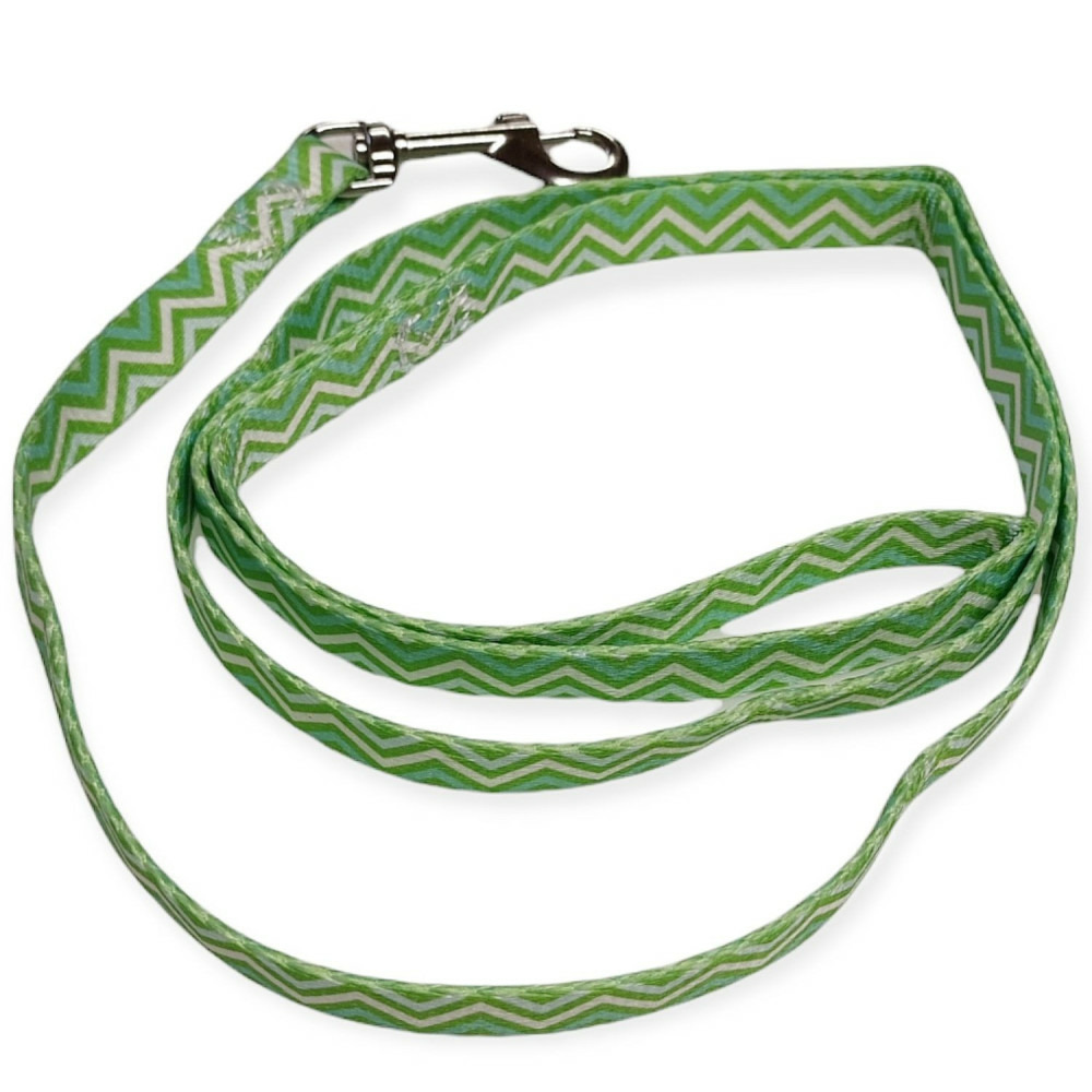 Laisse nylon puppy pixie longueur 1,20 m vert pour chiot,