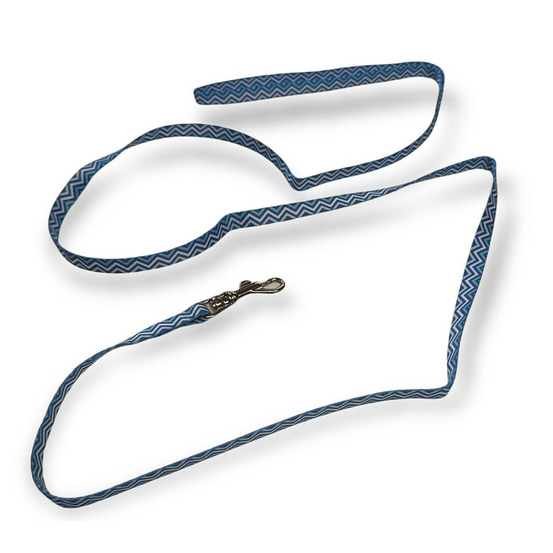 Laisse bleu puppy pixie 1,20 m pour chiots