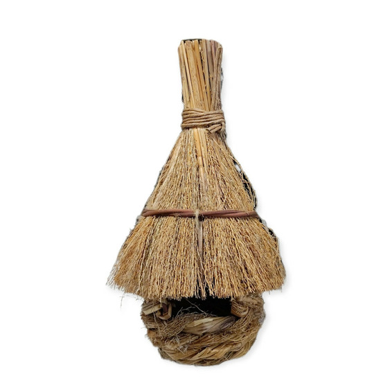 Nid d'élevage safari, oiseaux exotiques.