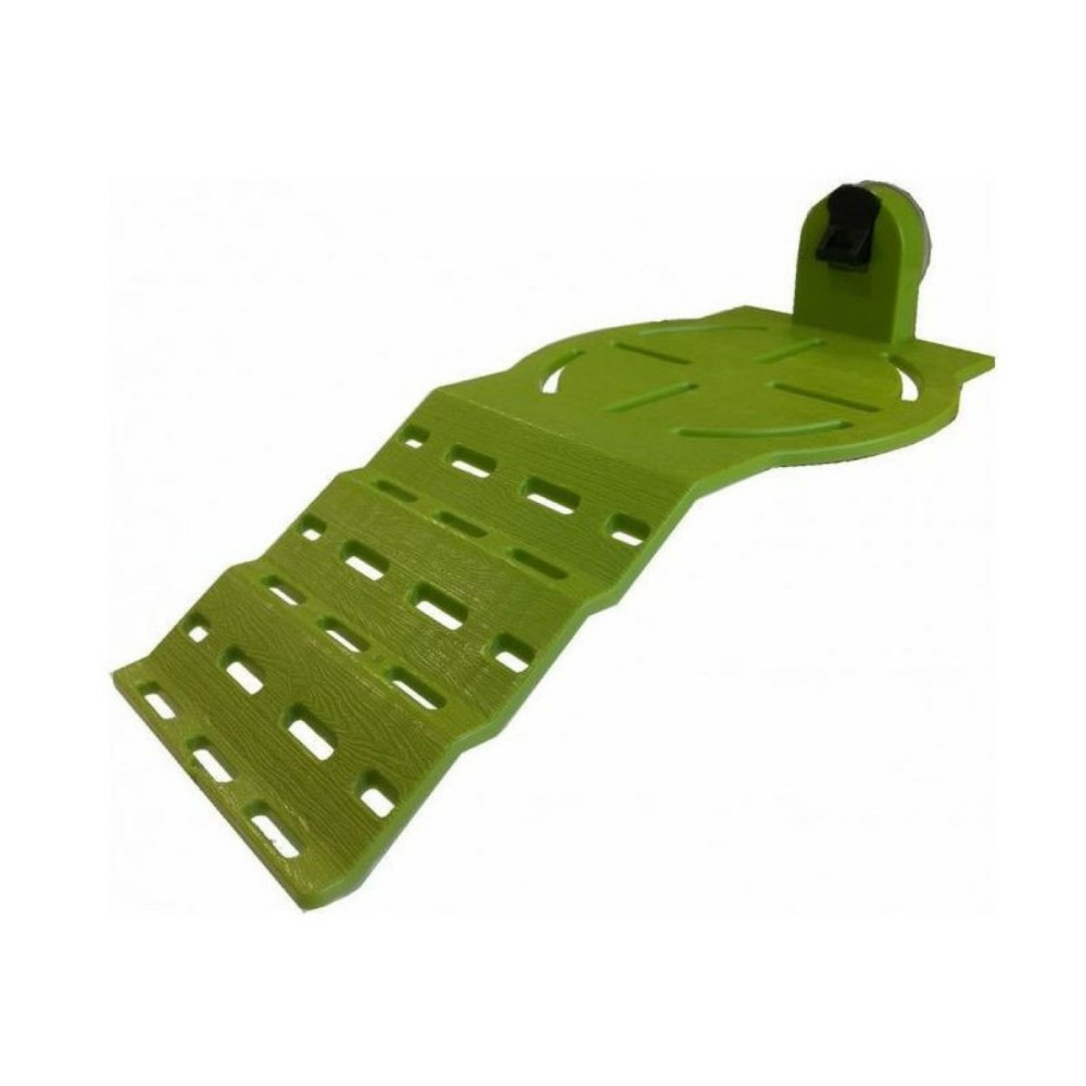 Plage karapas vert pour tortues, 33 cm.