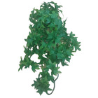 Plantes décorative imitation lierre du congo d'environ 36 cm
