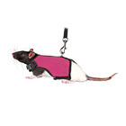 Harnais doux avec laisse 1,2 m , pour rats couleur aléatoire