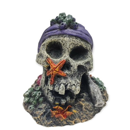 Décoration crane 16x17x15cm, pour aquarium