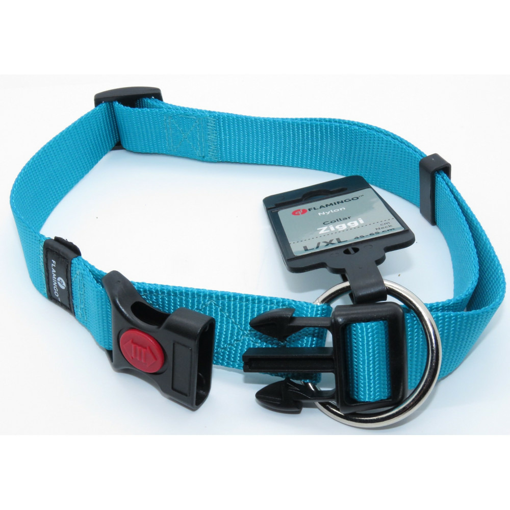 Collier ziggi turquoise 45 -65 cm. 25 mm . Taille l/xl. Pour chien.