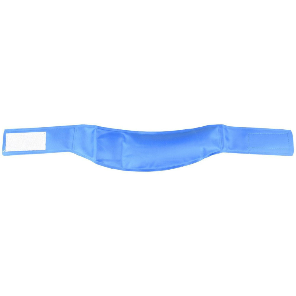 Collier rafraîchissant m tour de cou de 28 à 36 cm pour chien