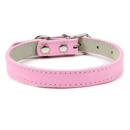 Dtopbuyage collier en cuir pour chats et chiens